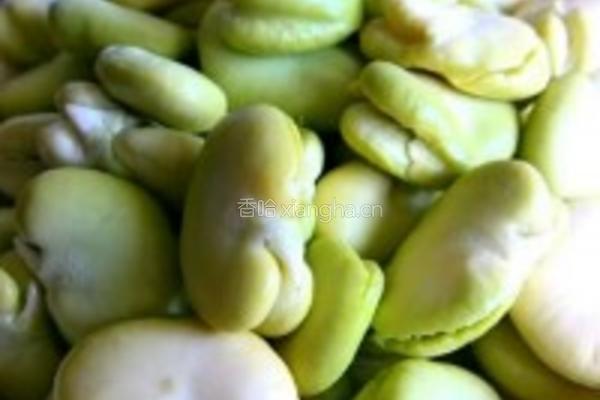 酥炸蚕豆瓣的做法图解2