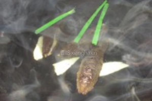 海参炆排骨的做法图解2