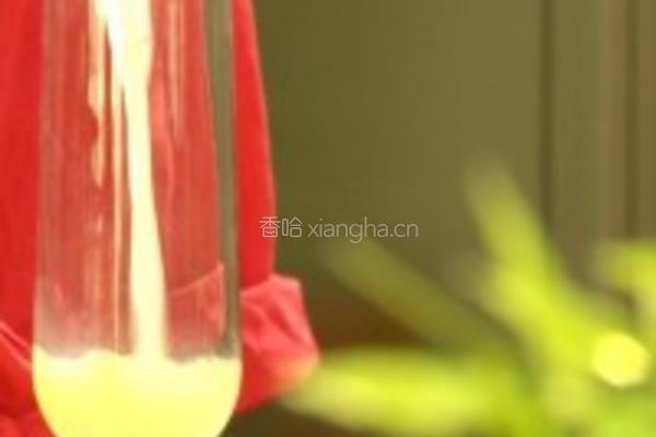 彩虹果汁的做法图解9