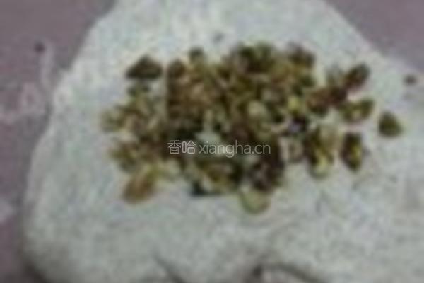 全麦橄榄油核桃包的做法图解4
