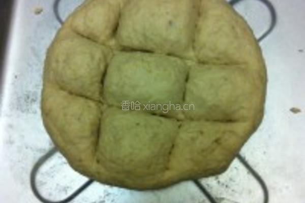 粗粮燕麦面包的做法图解4