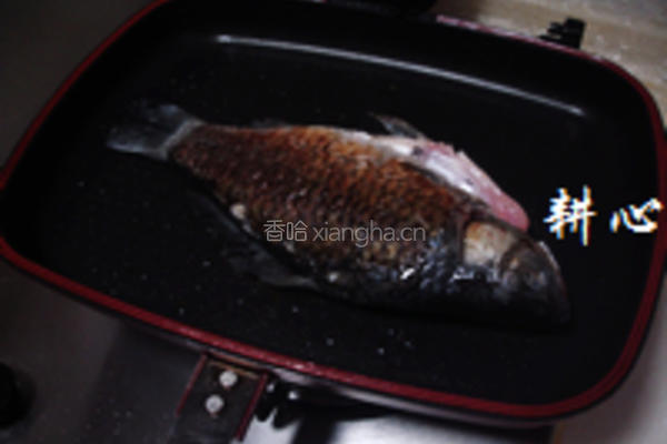 紫菜鲫鱼汤的做法图解3
