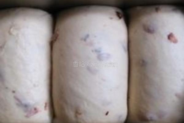 全麦酒酿荔枝干面包的做法图解13