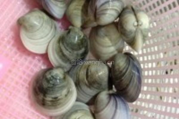 文蛤鸡蛋羹的做法图解1