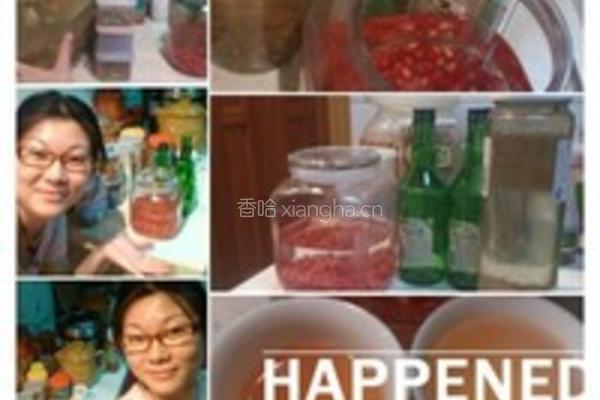 石榴酒的做法图解1