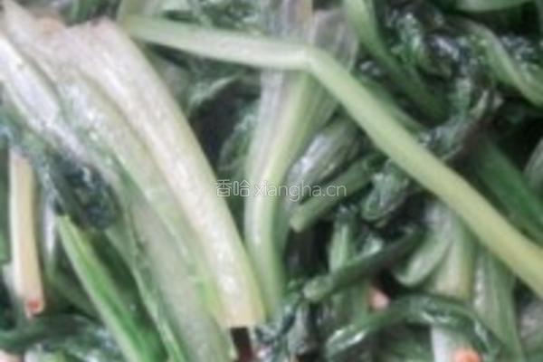 爽口香辣蒜蓉油麦菜的做法图解3
