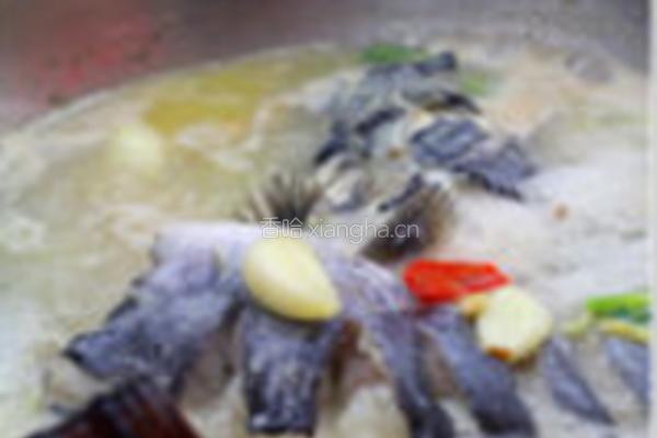 大蒜泡椒焖鲇鱼的做法图解4