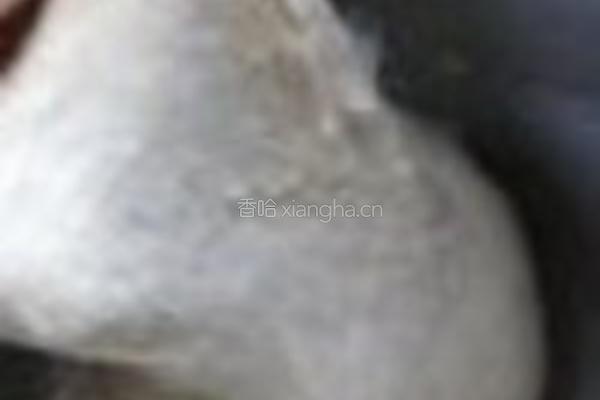 榛子小餐包的做法图解1