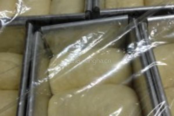 柚子蜜牛奶吐司的做法图解4