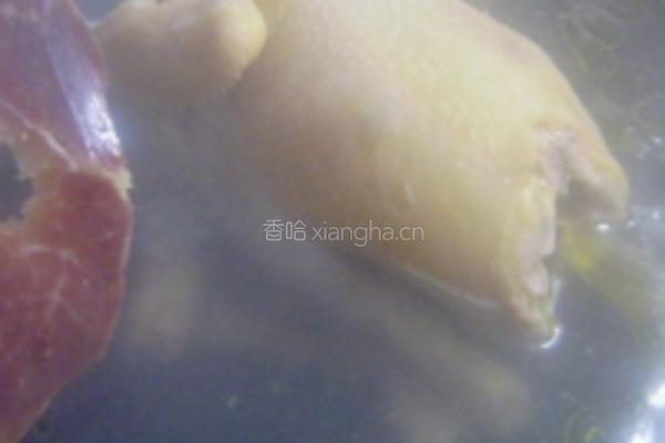 虫草花炖土鸡的做法图解4