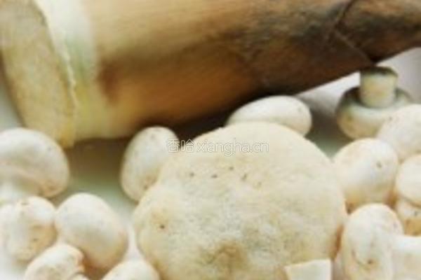 云南菌菇笋片掌中宝的做法图解1