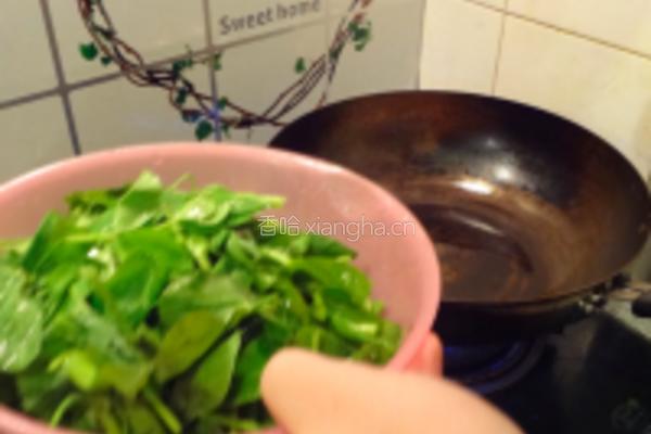 清炒豌豆尖的做法图解2