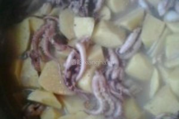 八爪鱼炖土豆的做法图解4