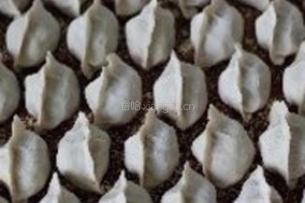 芸豆酱肉饺子的做法图解14