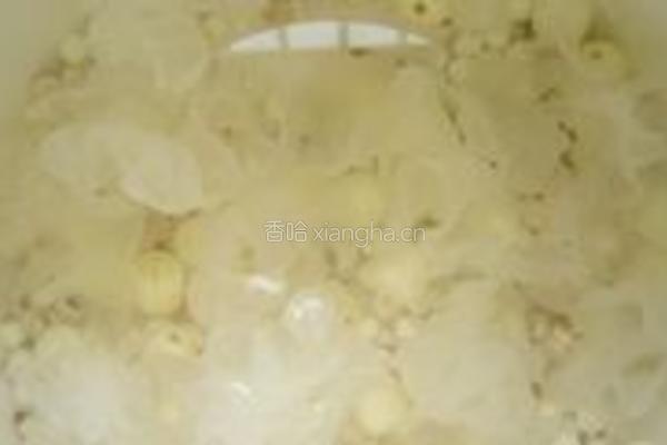 薏米莲子银耳羹的做法图解2