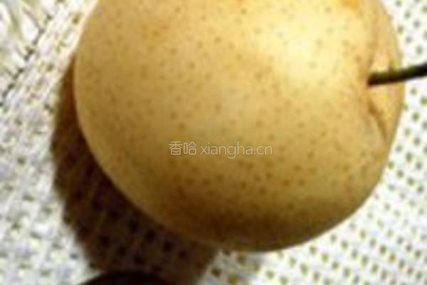 罗汉果炖秋梨的做法图解1