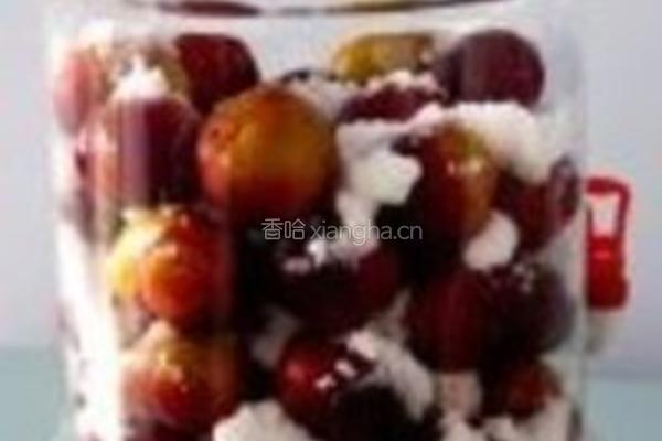 双色双味李子酒的做法图解4