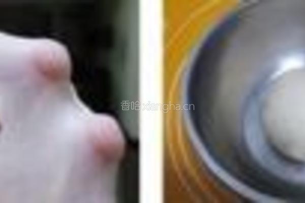 西洋香菜鲜奶面包的做法图解1