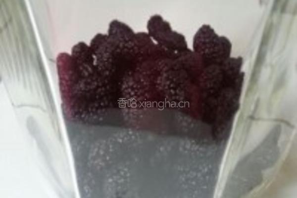 新鲜桑葚酒的做法图解2