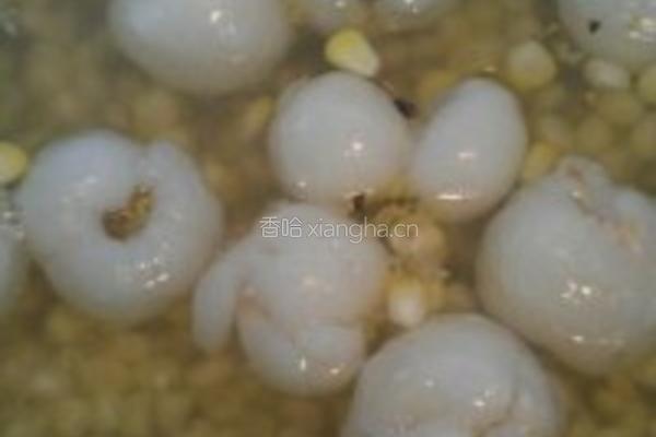 桂花荔枝玉米糖水的做法图解5
