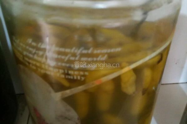 胖头鱼煮萝卜的做法图解5