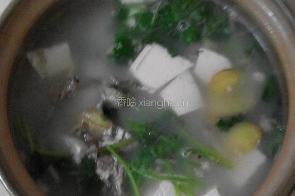 芫茜鱼头豆腐汤的做法图解4