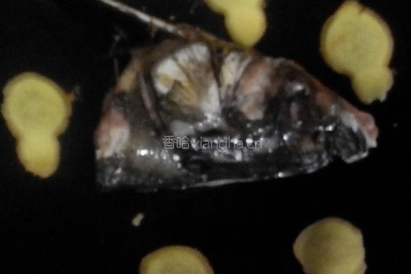 芫茜鱼头豆腐汤的做法图解2