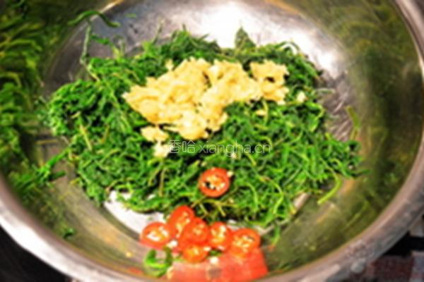 珍选捞汁海蓬菜的做法图解4