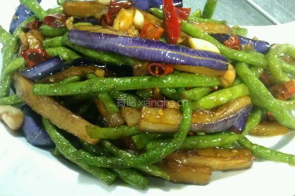 豆茄之恋