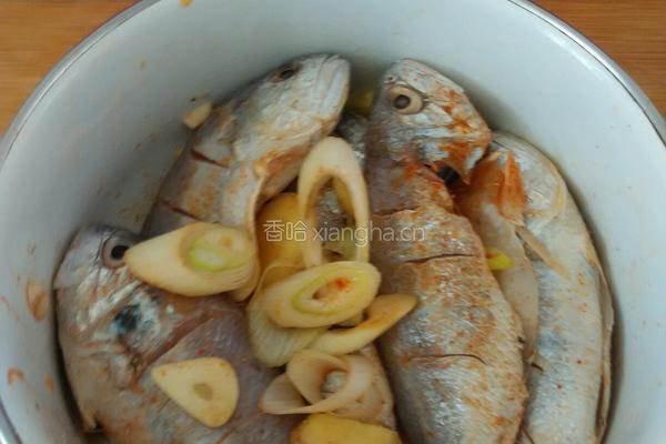 香煎黄花鱼的做法图解2