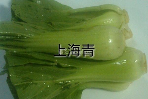 红烧狮子头的做法图解5