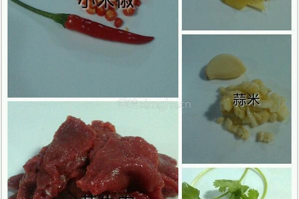小炒黄牛肉的做法图解3