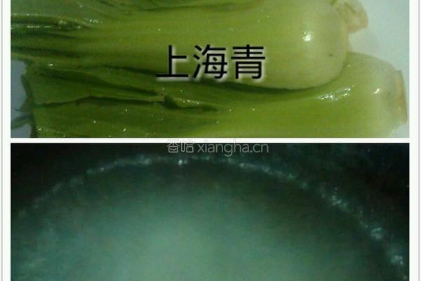 鲍汁扒花菇的做法图解3
