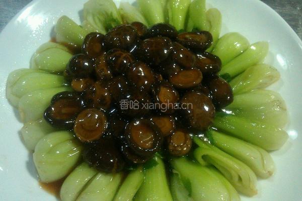 鲍汁扒花菇的做法图解5