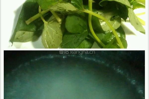 酸笋红薯苗的做法图解2