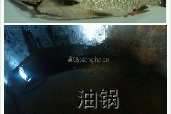 香烧鲫鱼的做法图解2