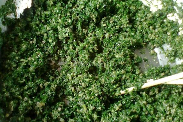 荠菜饺子的做法图解6