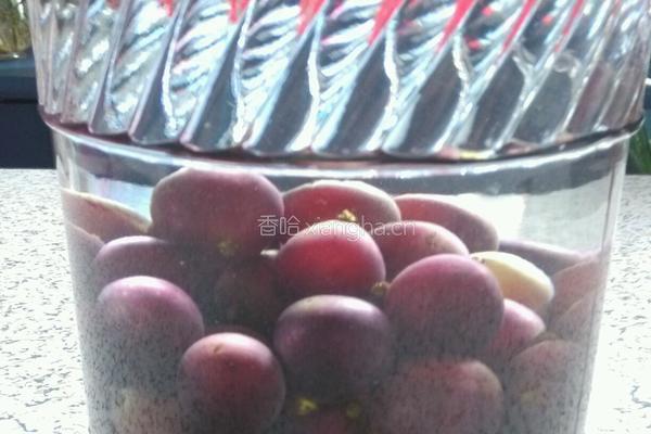 葡萄酒的做法图解5