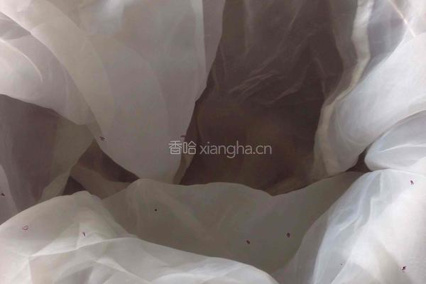自做豆腐的做法图解3