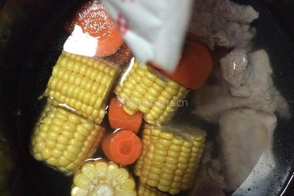 清炖胡萝卜玉米排骨的做法图解3