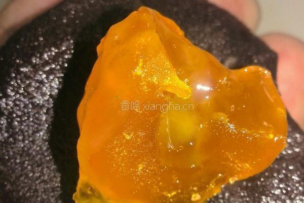 香酥豆沙蛋黄饼的做法图解4