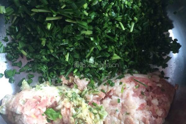 韭菜猪肉饺的做法图解1