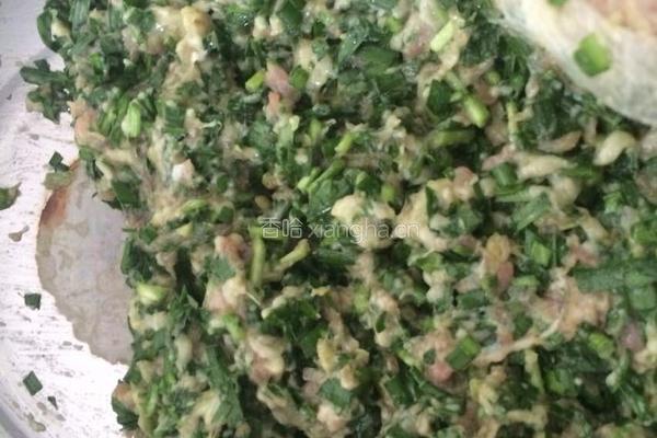 韭菜猪肉饺的做法图解3