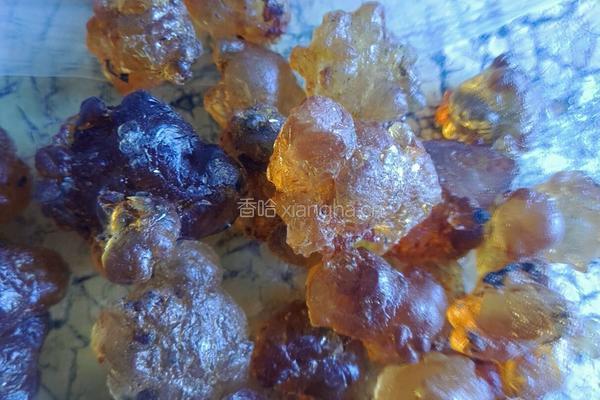 皂角黄耳莲子汤的做法图解2