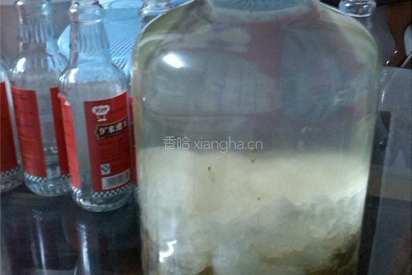 橄榄醋的做法图解4