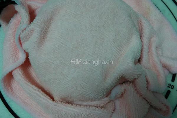 素馅包子的做法图解6
