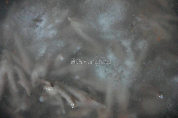 泡椒凤爪的做法图解4