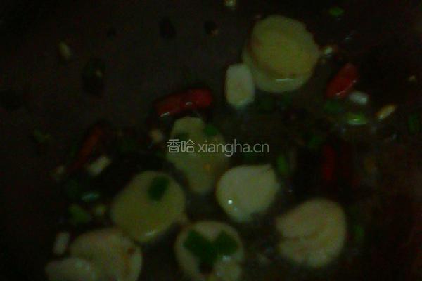 豆芽粉丝的做法图解4