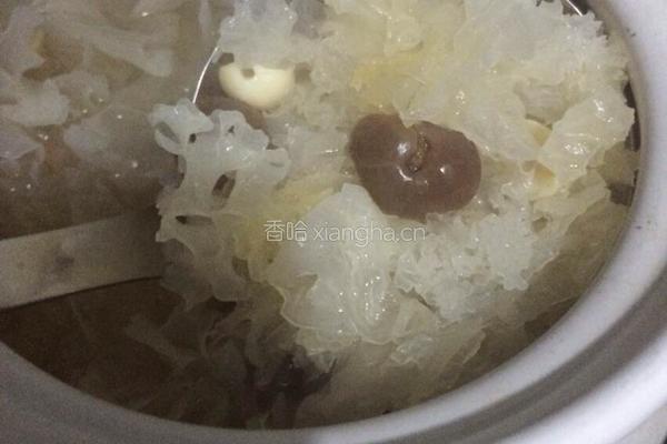 虞氏桂圆莲子银耳汤的做法图解3