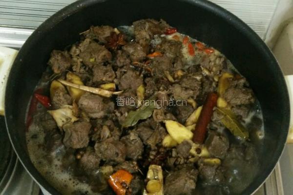红焖牛肉的做法图解5